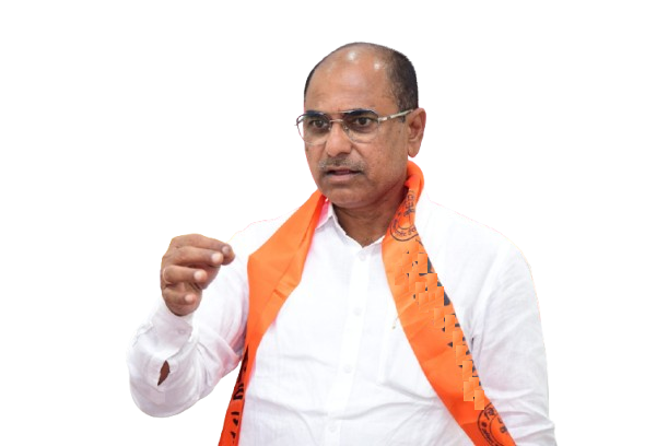 भाजप संघटन कार्य